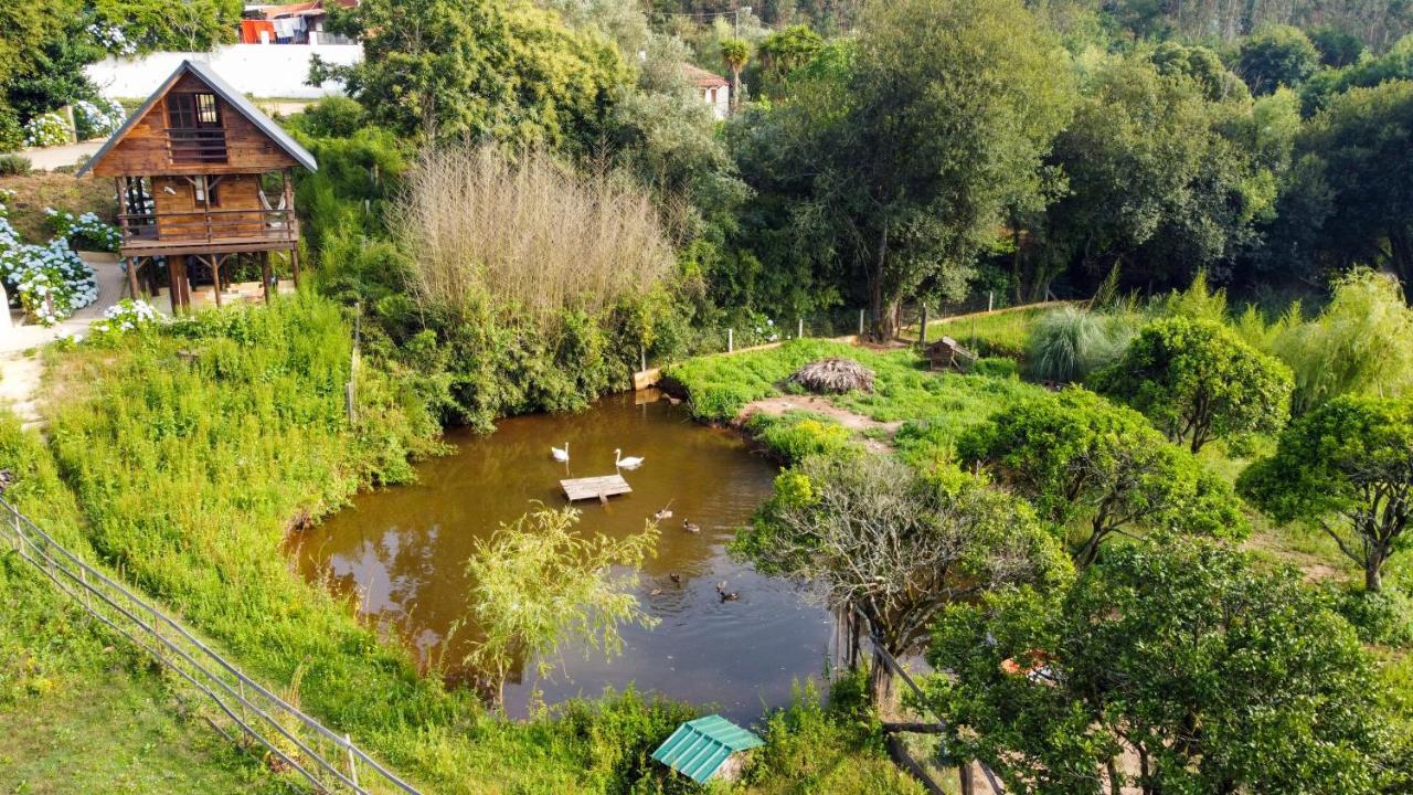Vale da Silva Villas - Quinta Albergaria-a-Velha Esterno foto