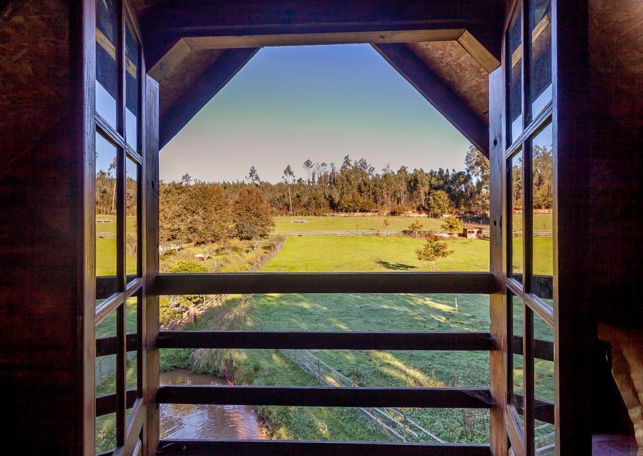 Vale da Silva Villas - Quinta Albergaria-a-Velha Esterno foto