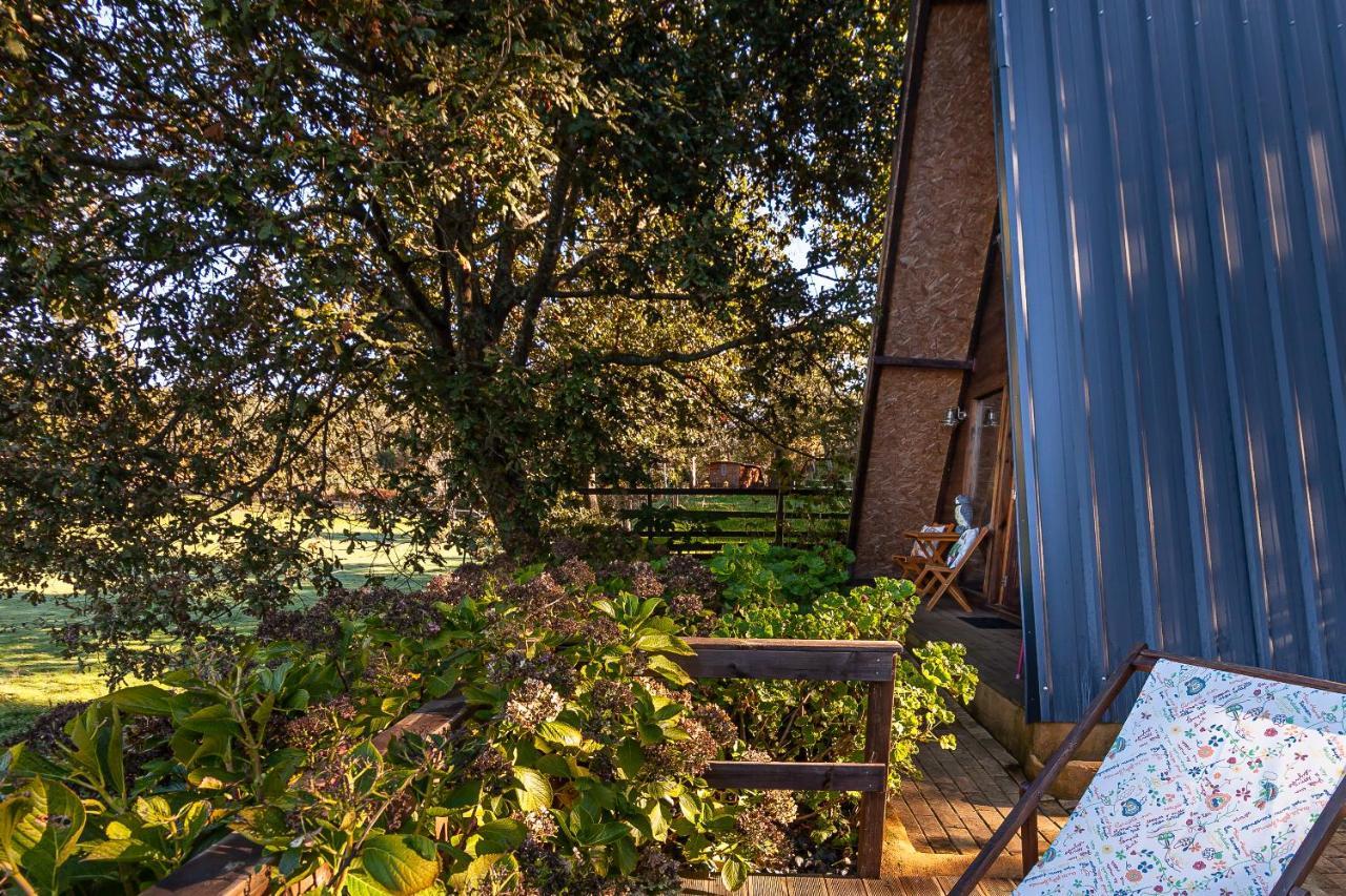 Vale da Silva Villas - Quinta Albergaria-a-Velha Esterno foto